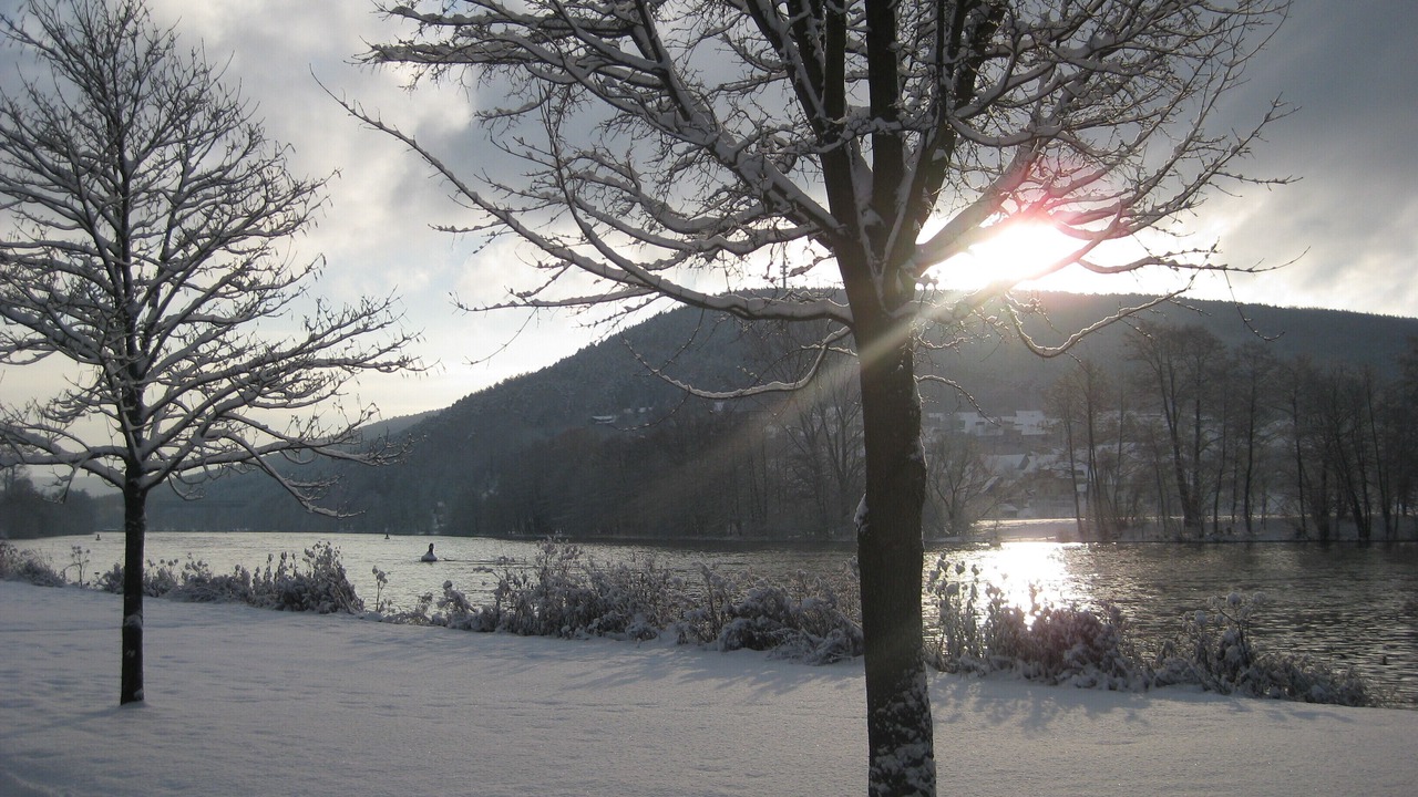 Photo of Others in Langenprozelten