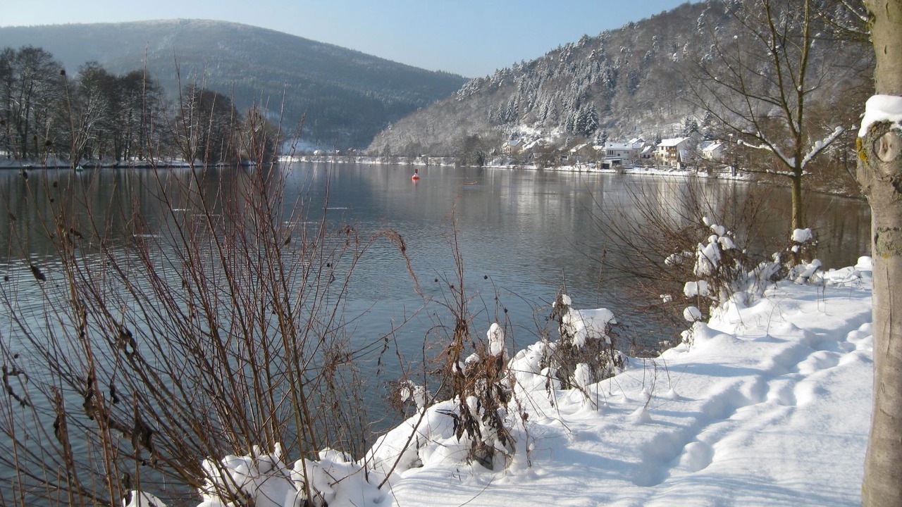 Photo of Others in Langenprozelten
