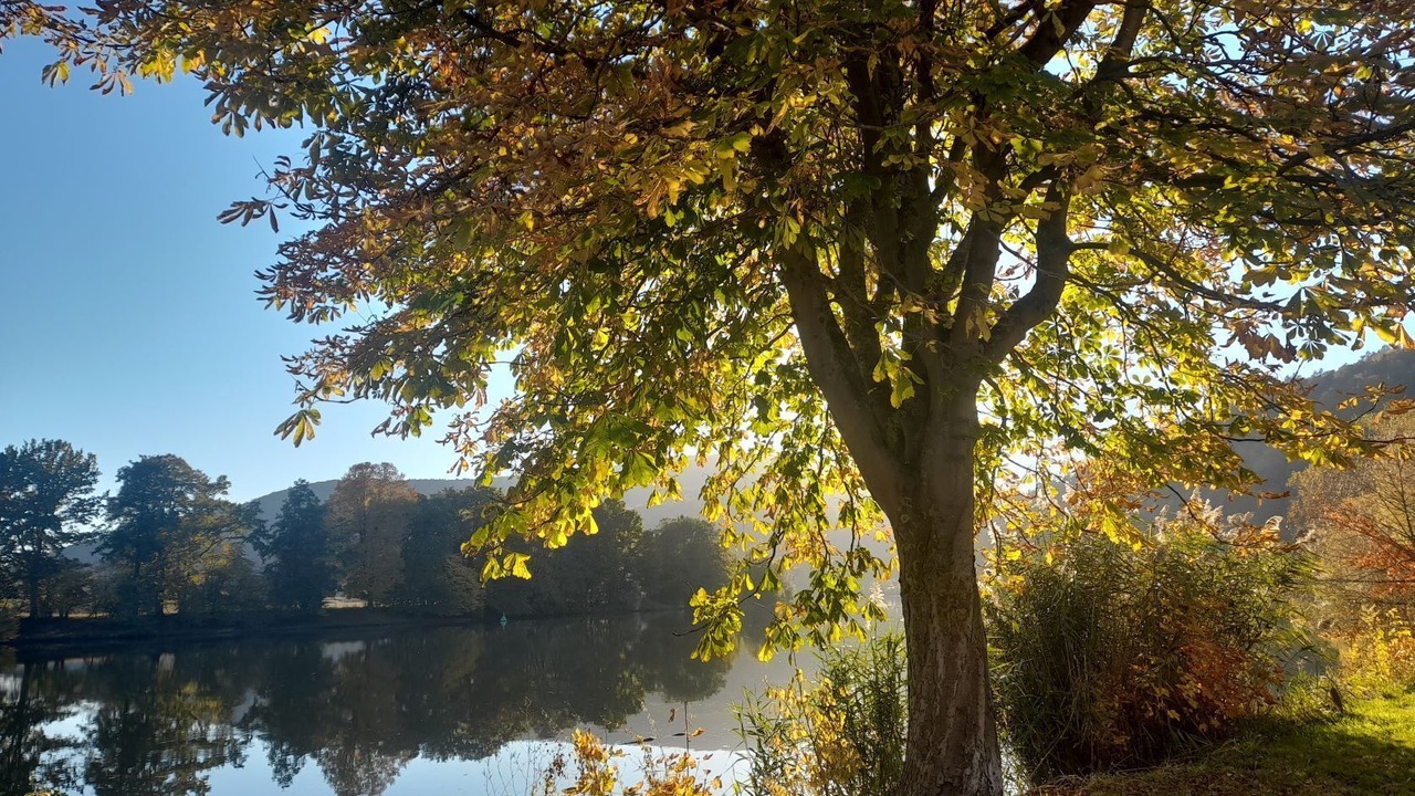 Photo of Outdoor in Langenprozelten