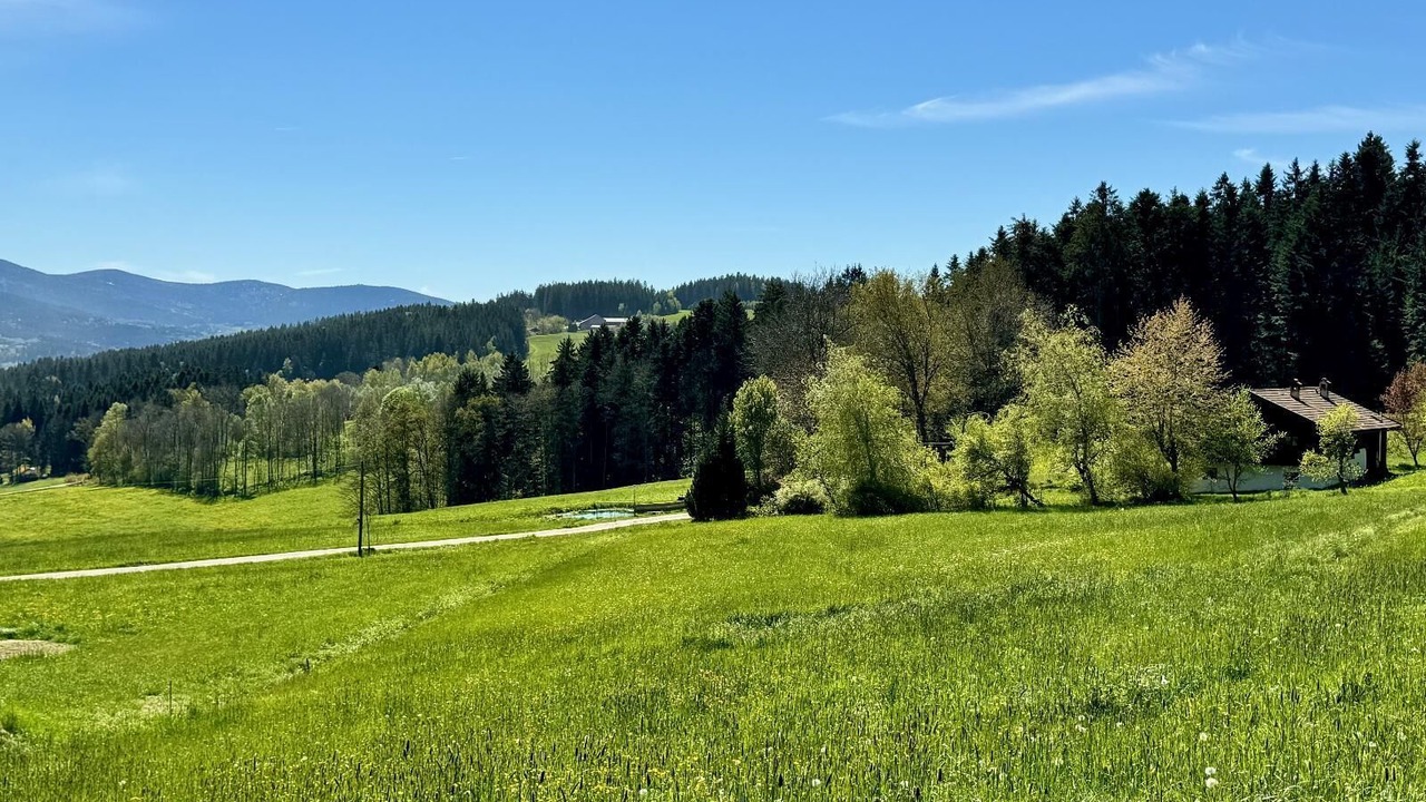 Photo of Others in Patersdorf