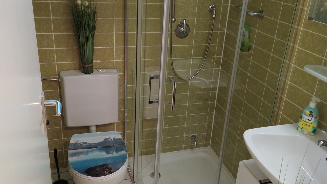 Photo of Bathroom in Steibis
