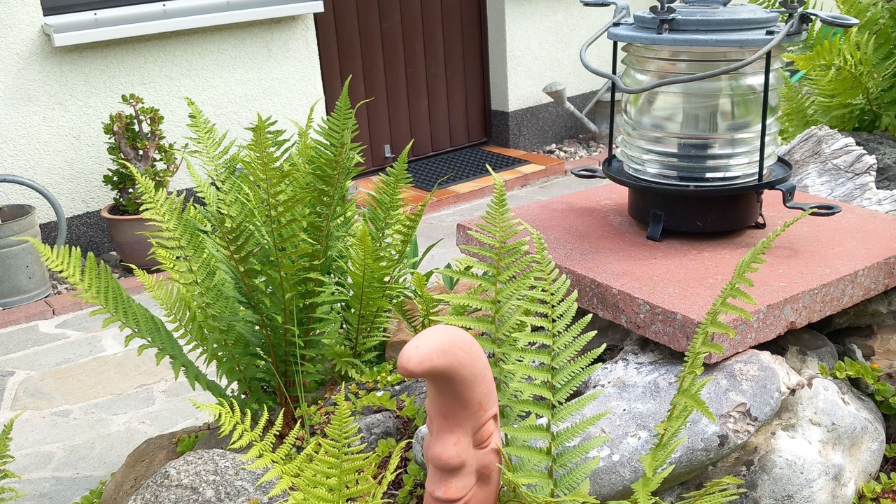 Photo of Outdoor in Dierkow-West