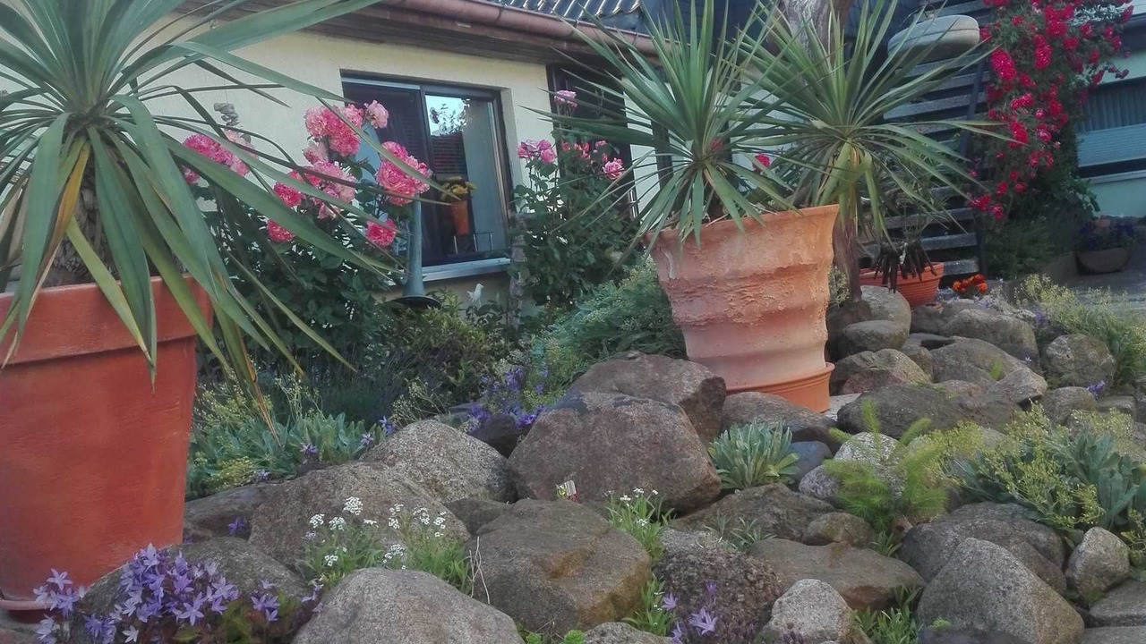 Photo of Outdoor in Dierkow-West