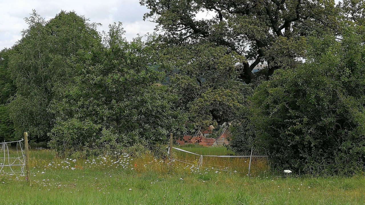 Photo of Others in Niederstetten