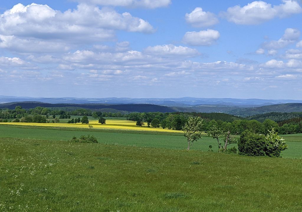 Photo of Others in Bad Gottleuba-Berggiesshuebel