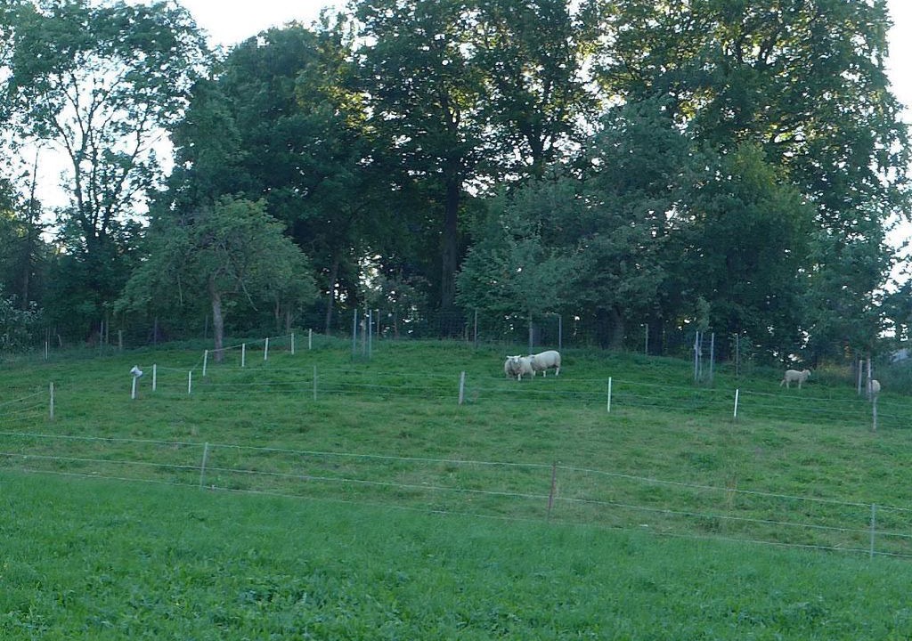 Photo of Others in Bad Gottleuba-Berggiesshuebel
