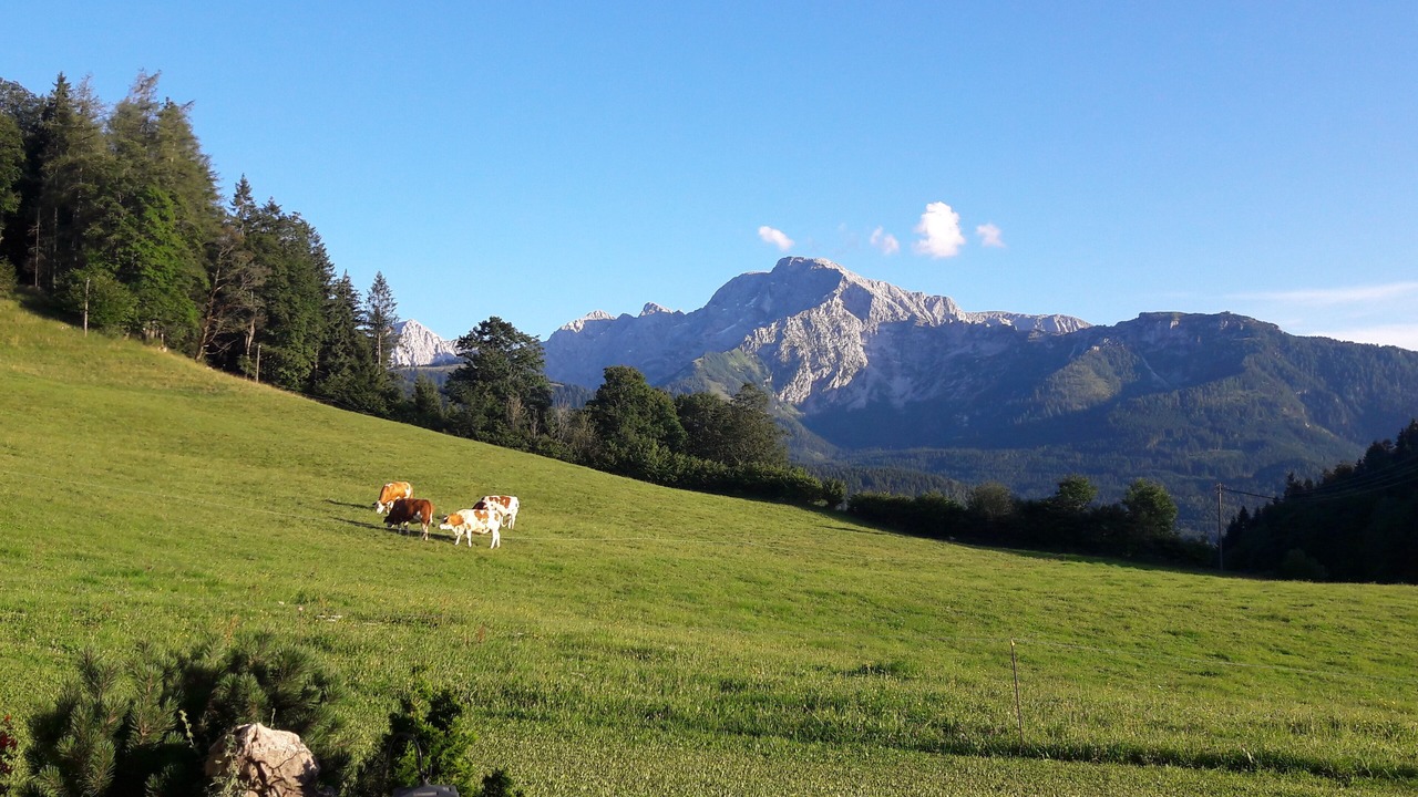 Photo of Others in Berchtesgaden