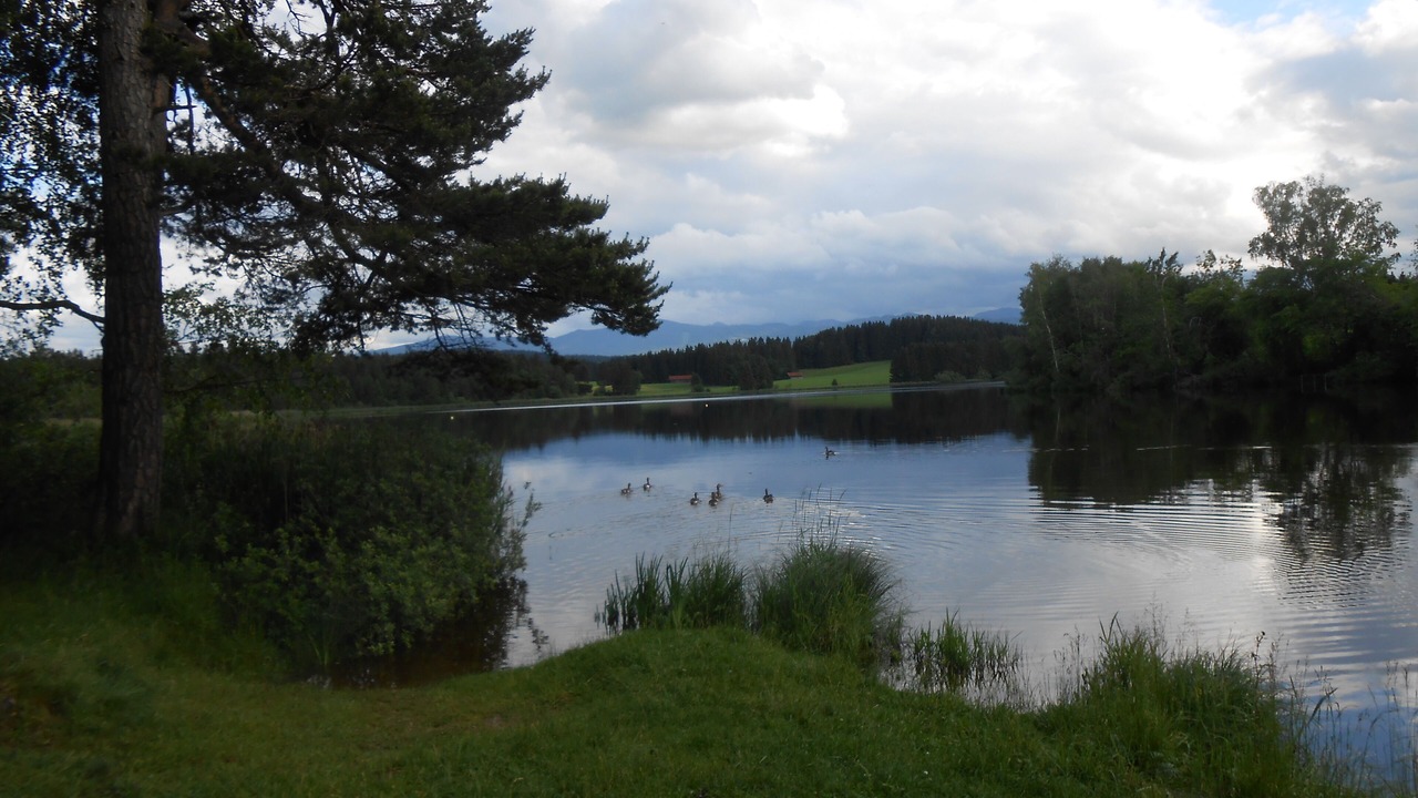 Photo of Others in Steingaden