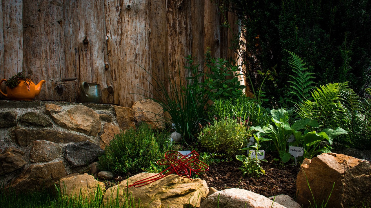 Photo of Outdoor in Haus im Wald