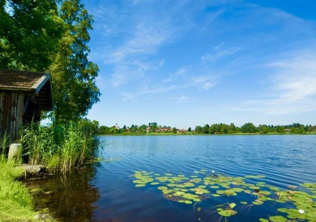 Photo of Others in Bad Bayersoien