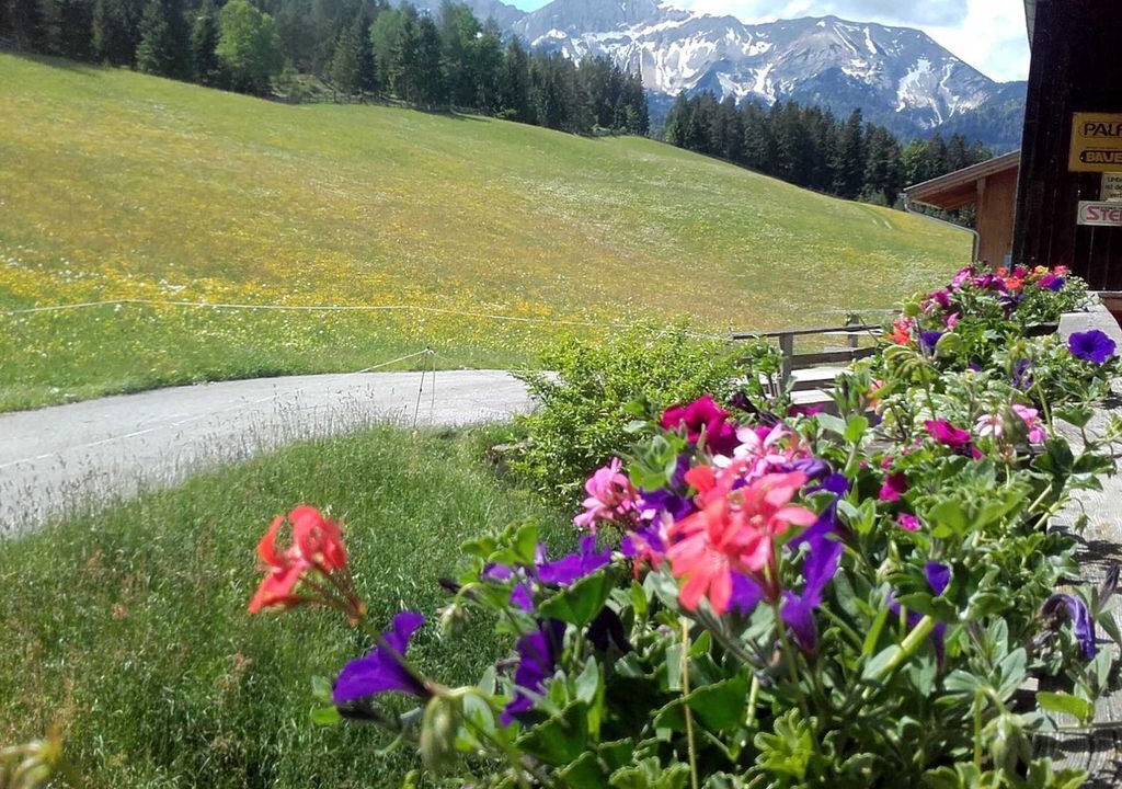 Photo of Outdoor in Steinberg am Rofan