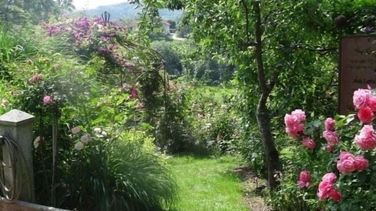 Photo of Outdoor in Fuersteneck