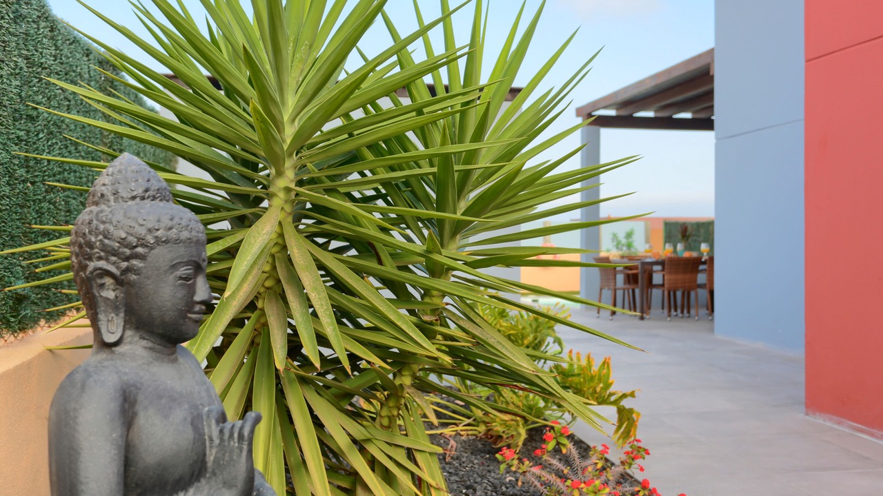 Photo of Outdoor in Costa de Antigua