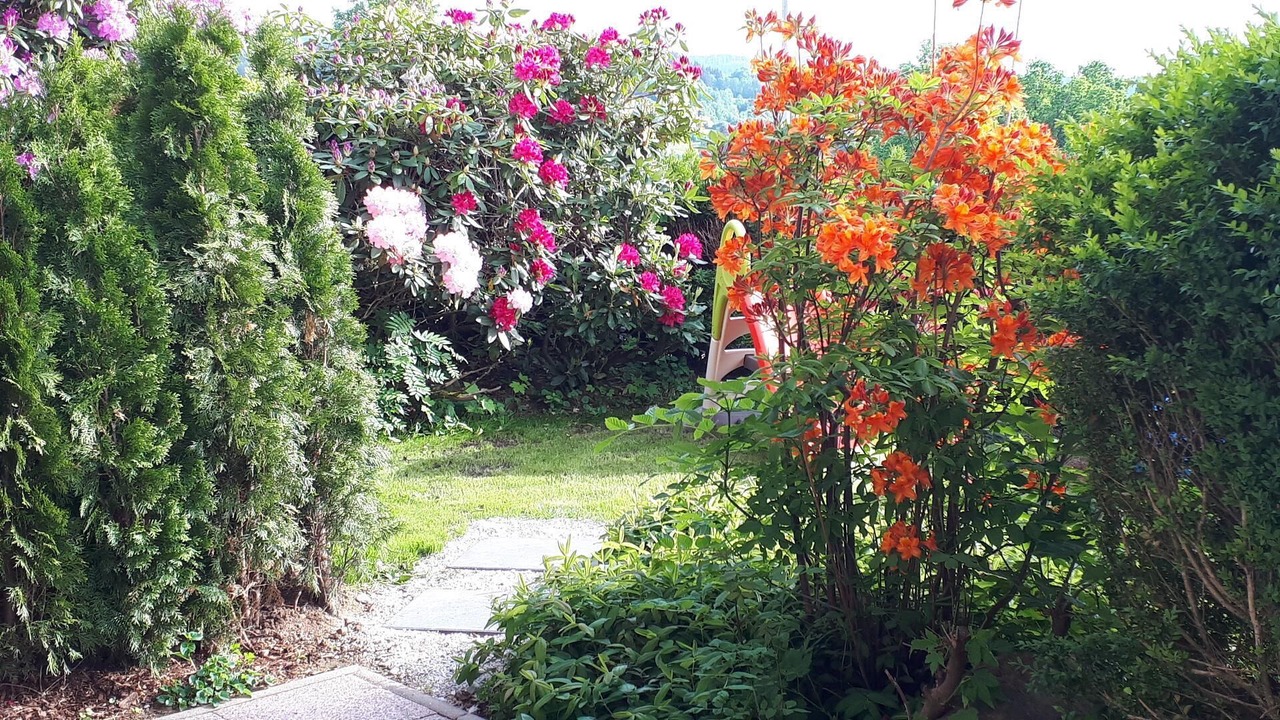 Photo of Outdoor in Zwiesel