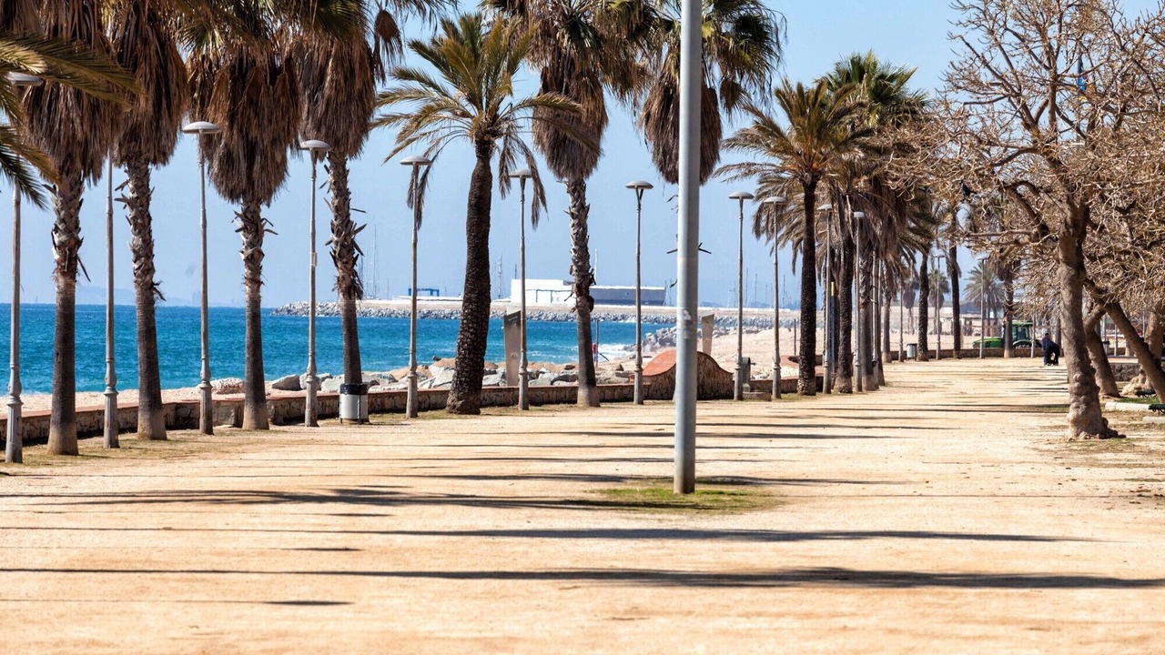 Photo of Others in Canet de Mar