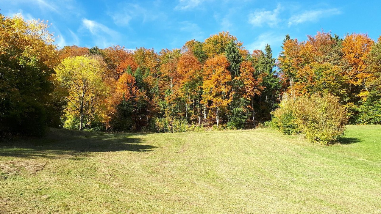 Photo of Outdoor in Waldkirchen