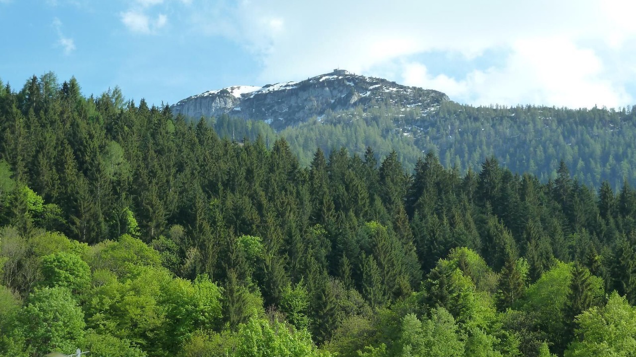 Photo of Others in Waldkirchen