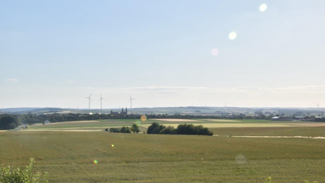 Photo of Others in Dingolshausen