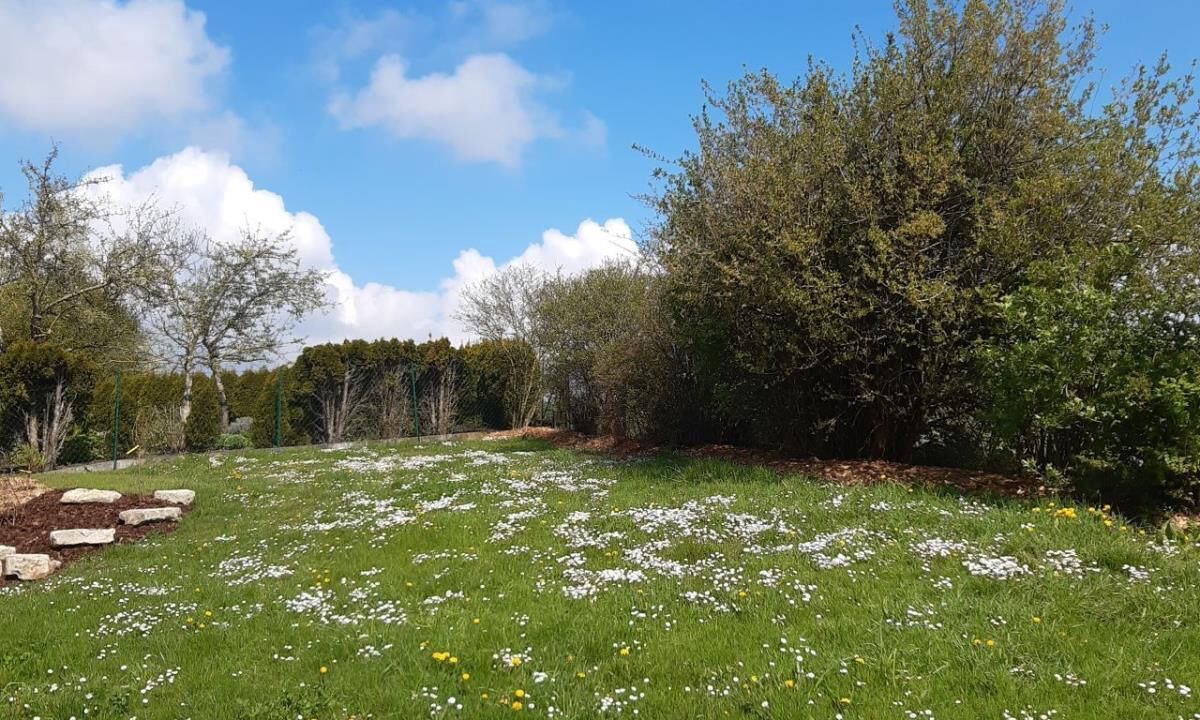 Photo of Outdoor in Diebach