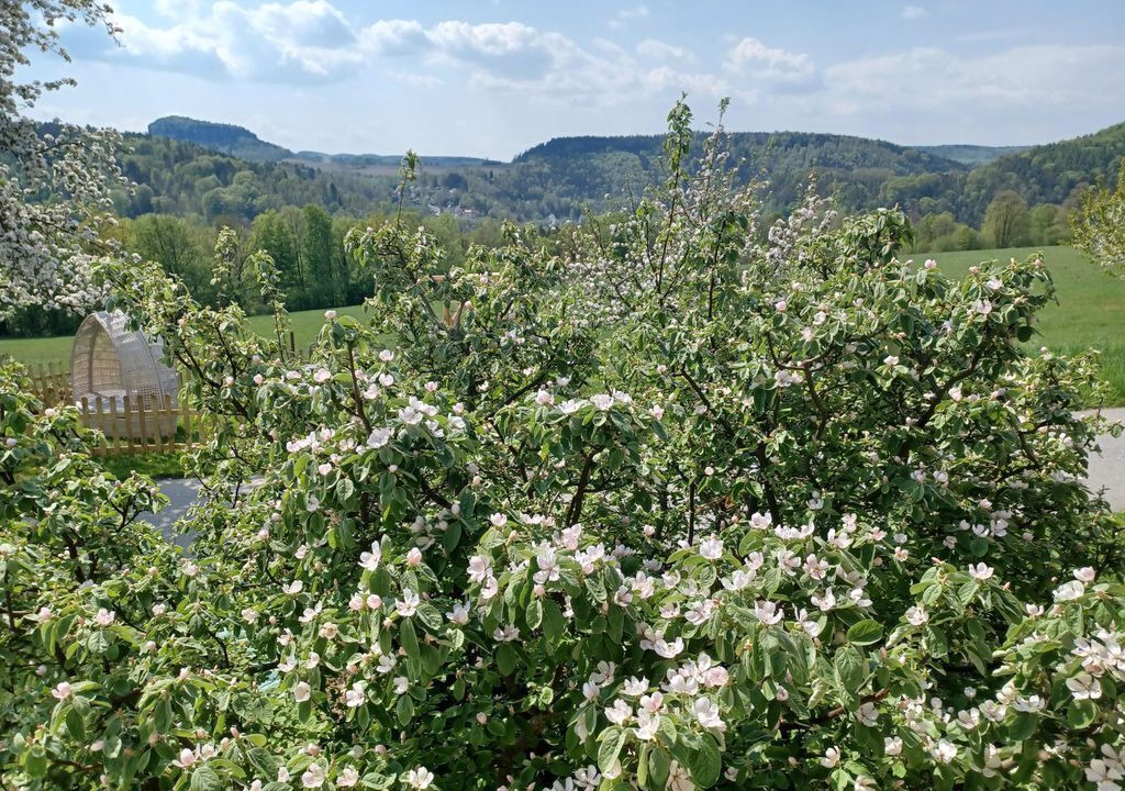 Photo of Outdoor in Halbestadt