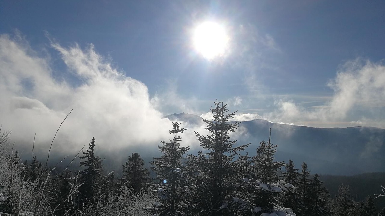Photo of Others in Miltach