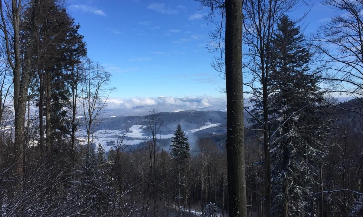 Photo of Others in Miltach