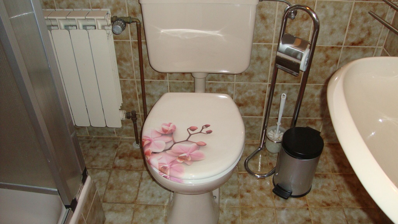 Photo of Bathroom in Dombuehl