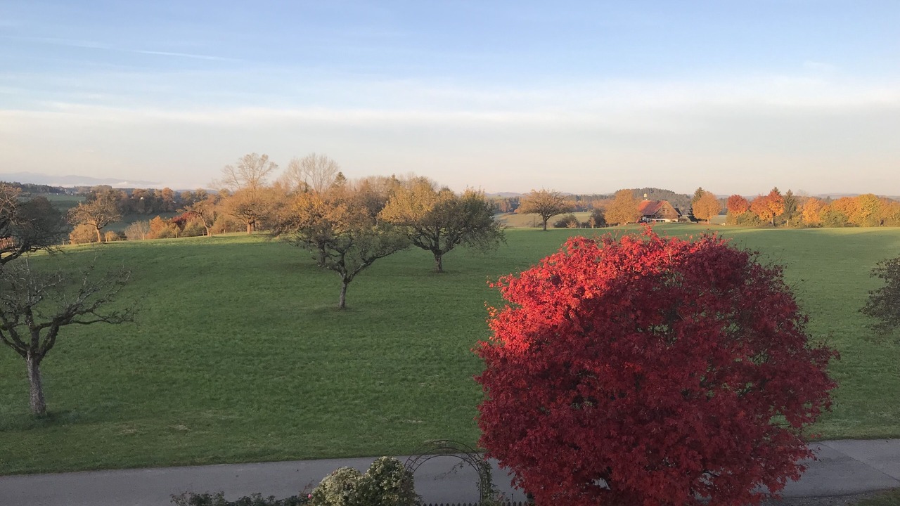 Photo of Outdoor in Argenbuhl