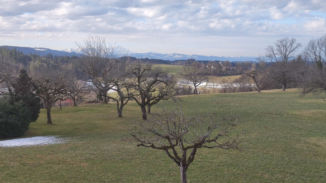 Photo of Outdoor in Argenbuhl