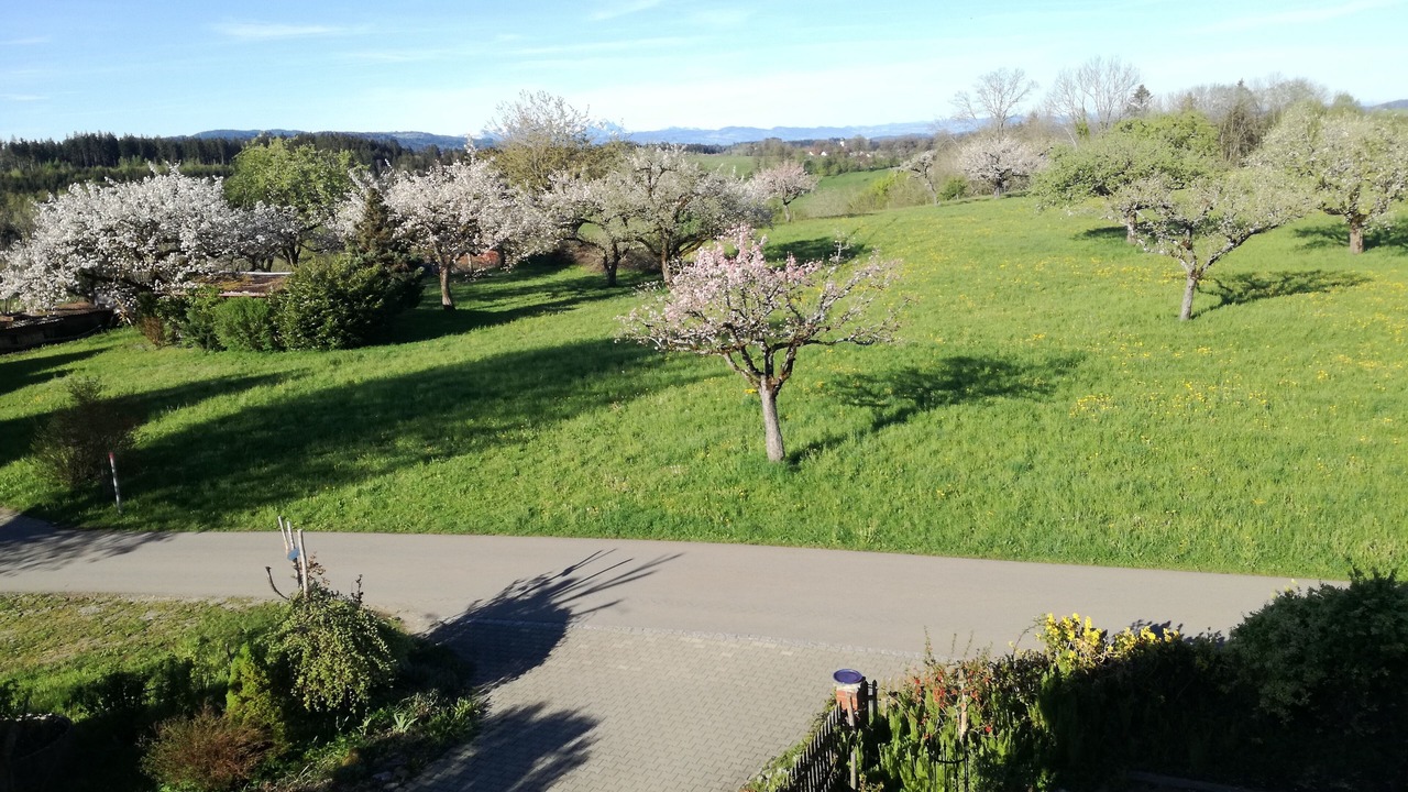Photo of Outdoor in Argenbuhl