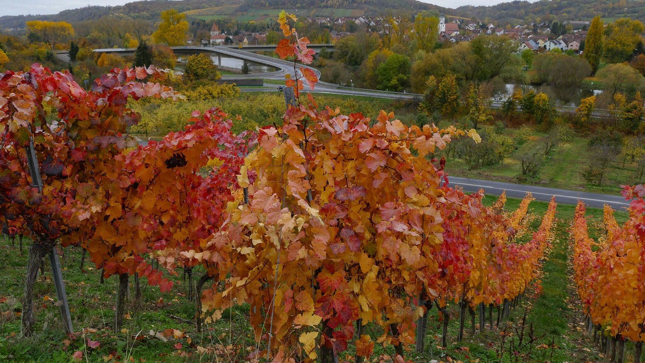 Photo of Outdoor in Winterhausen