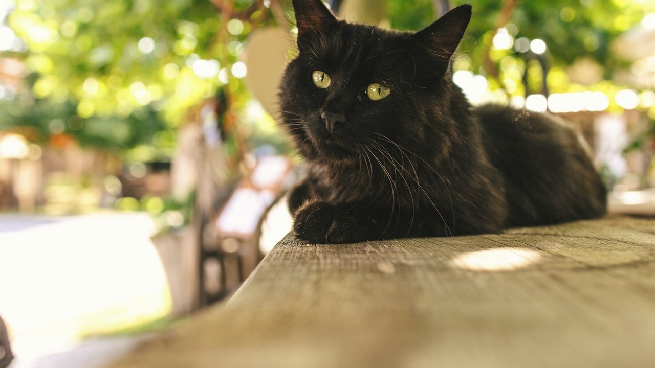 Photo of Others in Salem