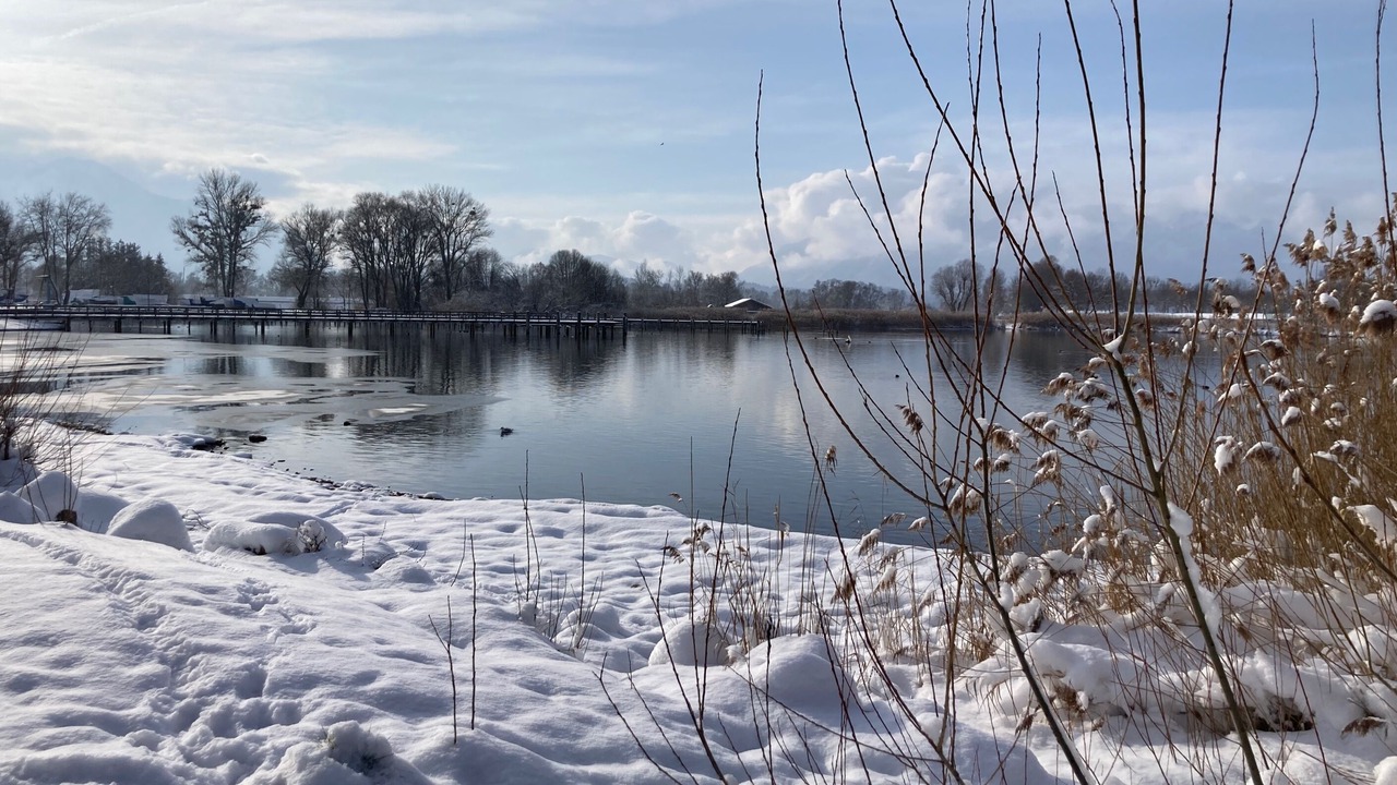 Photo of Others in Uebersee