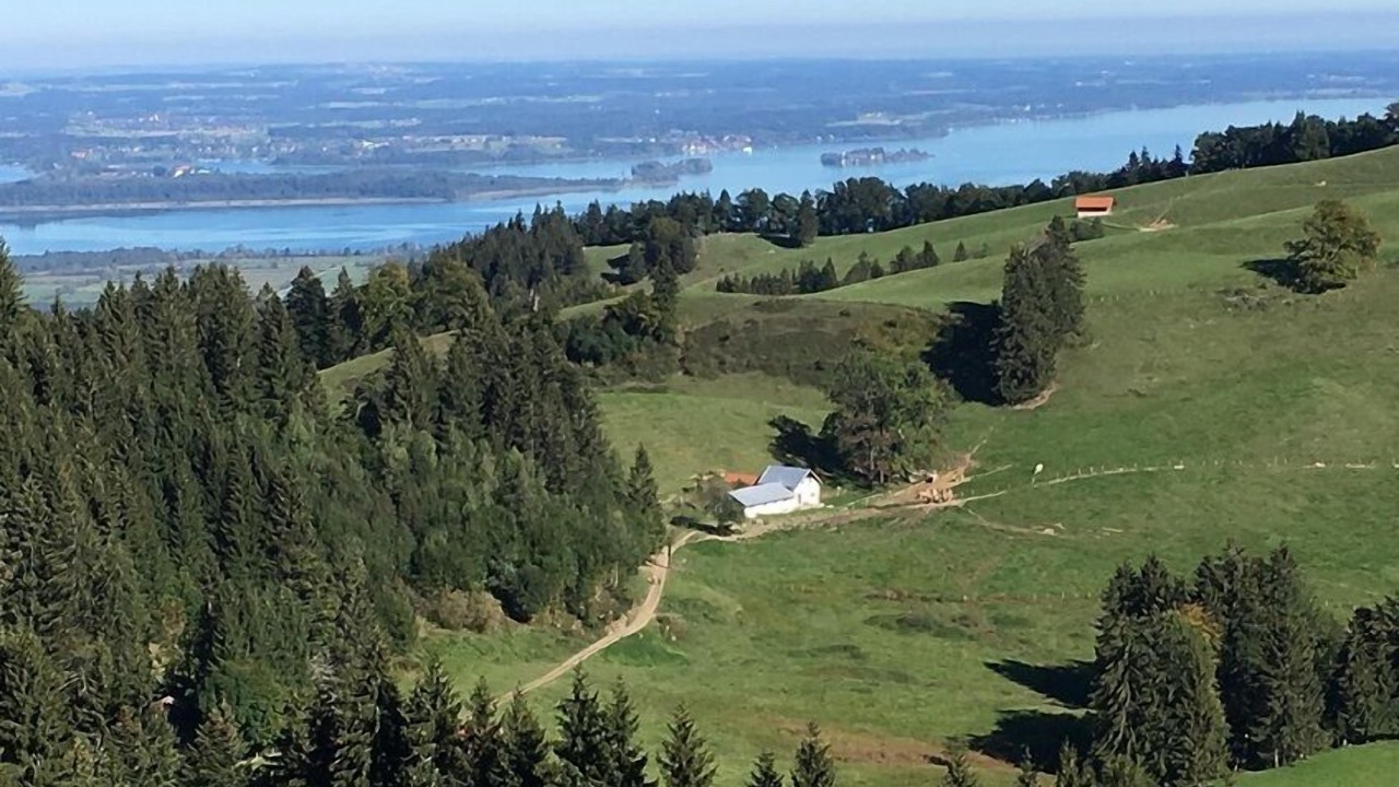 Photo of Others in Uebersee