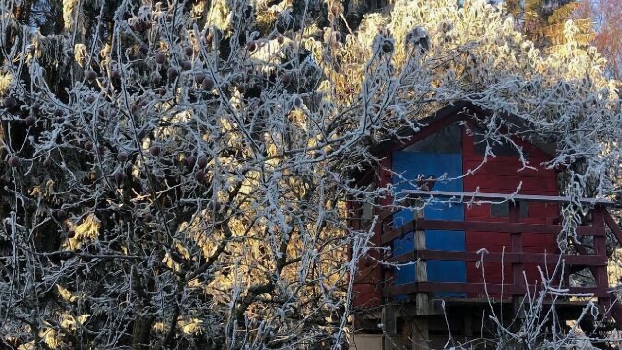 Photo of Outdoor in Dorn