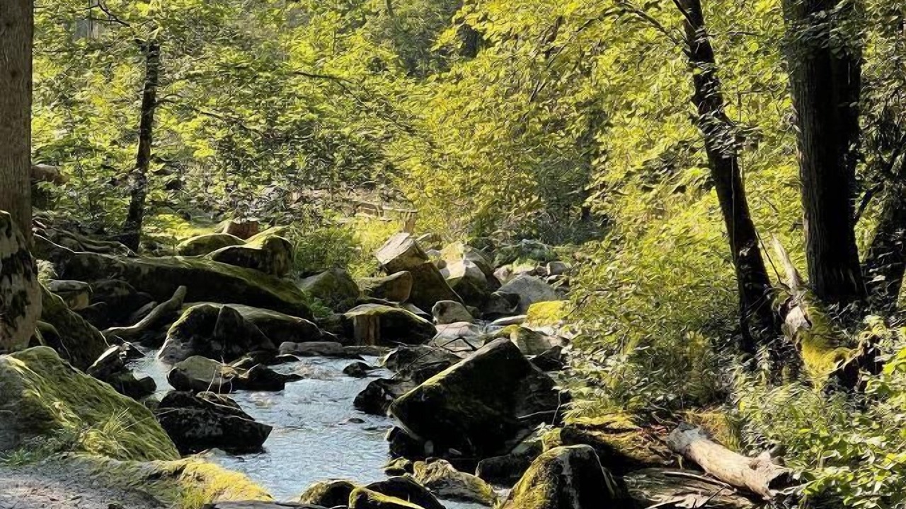 Photo of Outdoor in Dorn