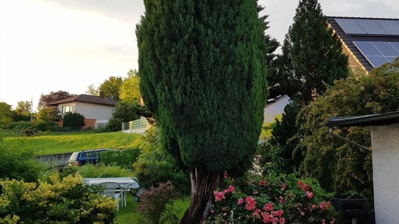 Photo of Outdoor in Altenstadt an der Waldnaab