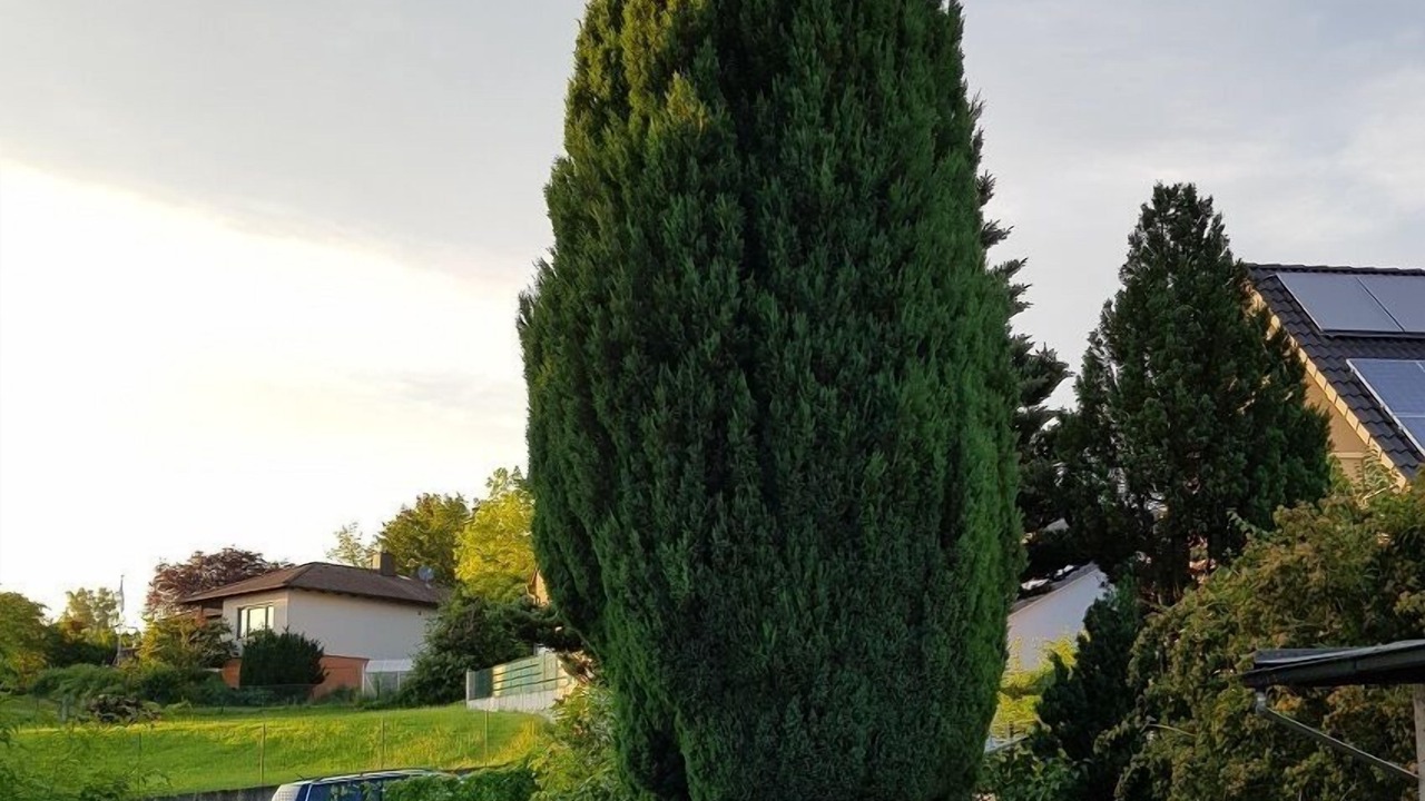 Photo of Outdoor in Altenstadt an der Waldnaab