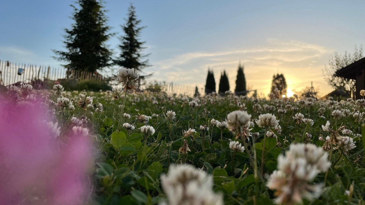 Photo of Outdoor in Michelsneukirchen