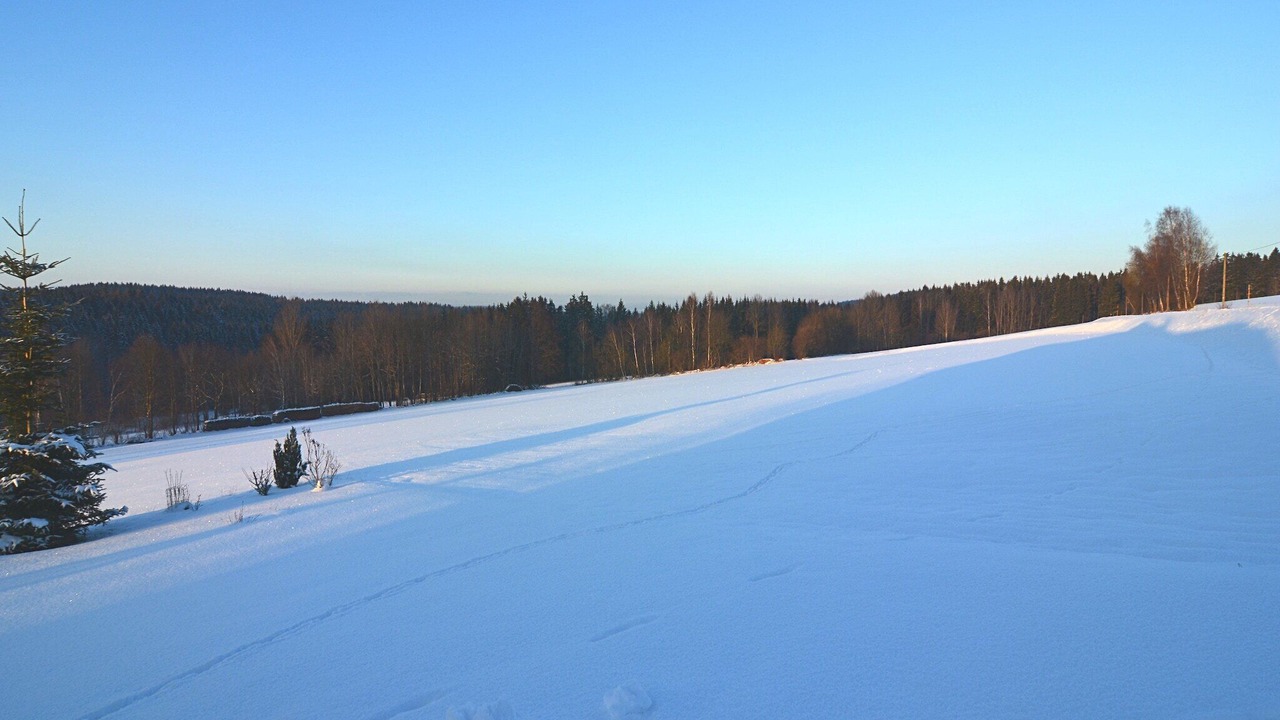 Photo of Others in Schoensee