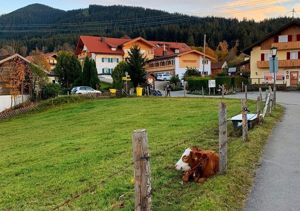 Photo of Outdoor in Sonnen