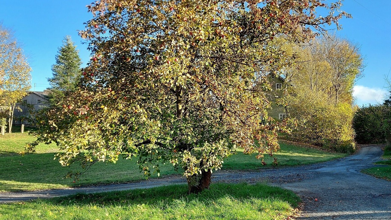 Photo of Outdoor in Weißdorf