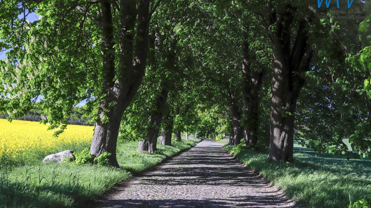 Photo of Outdoor in Seedorf