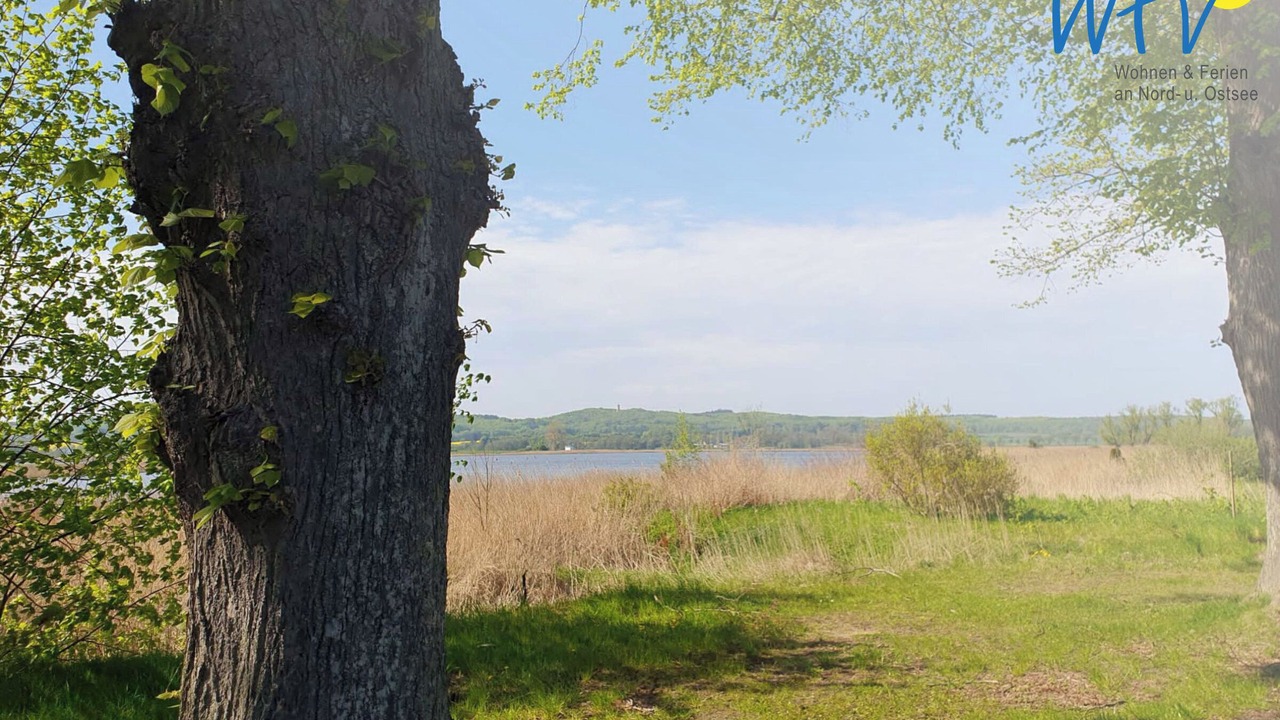 Photo of Outdoor in Seedorf