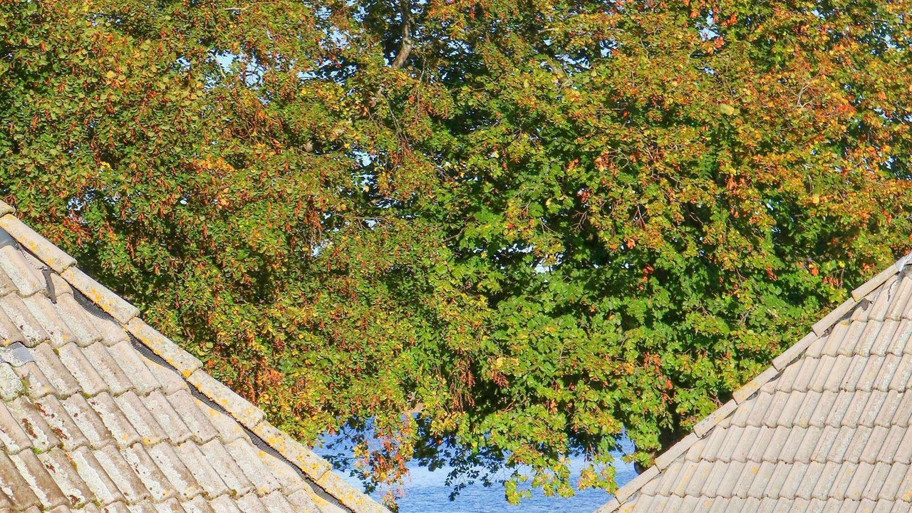 Photo of Outdoor in Seedorf