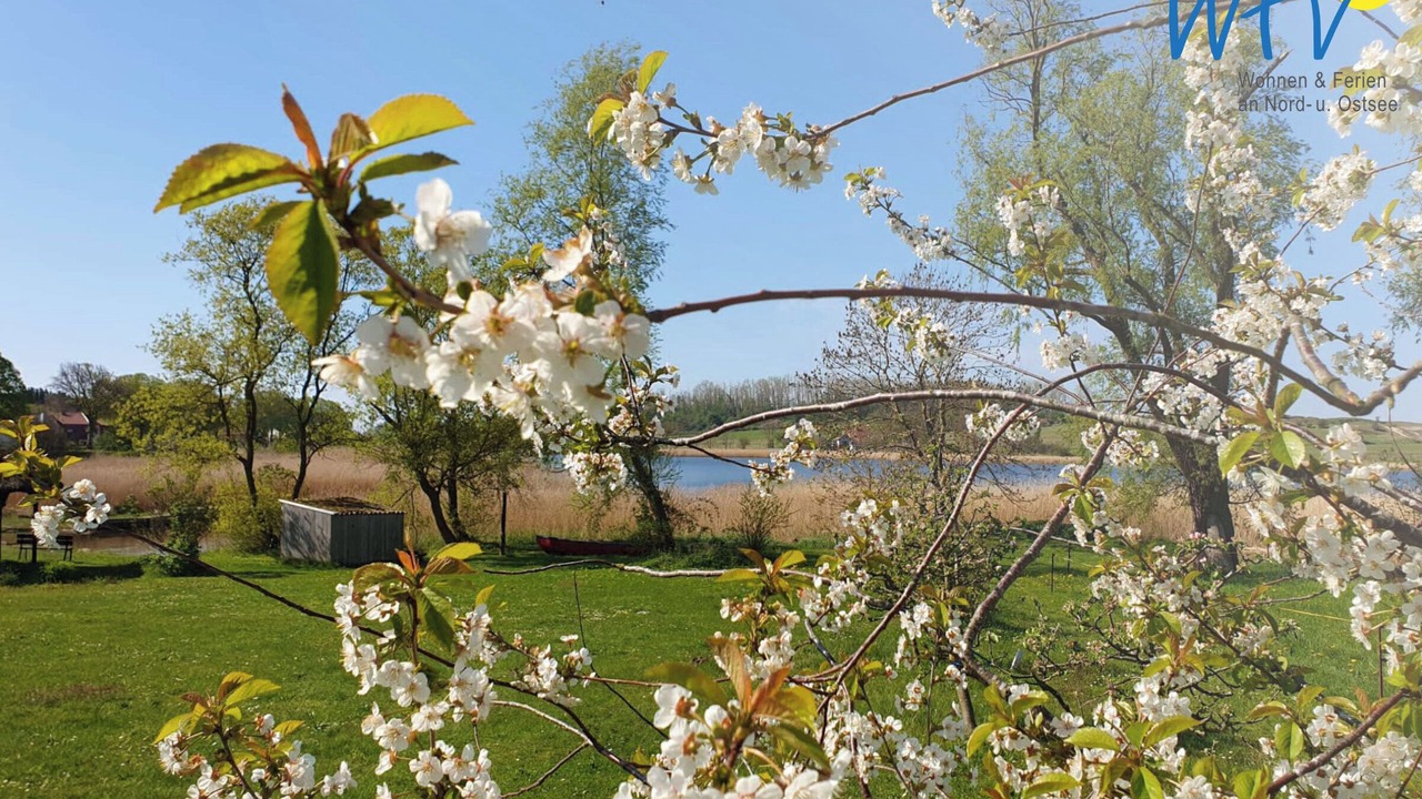 Photo of Outdoor in Seedorf
