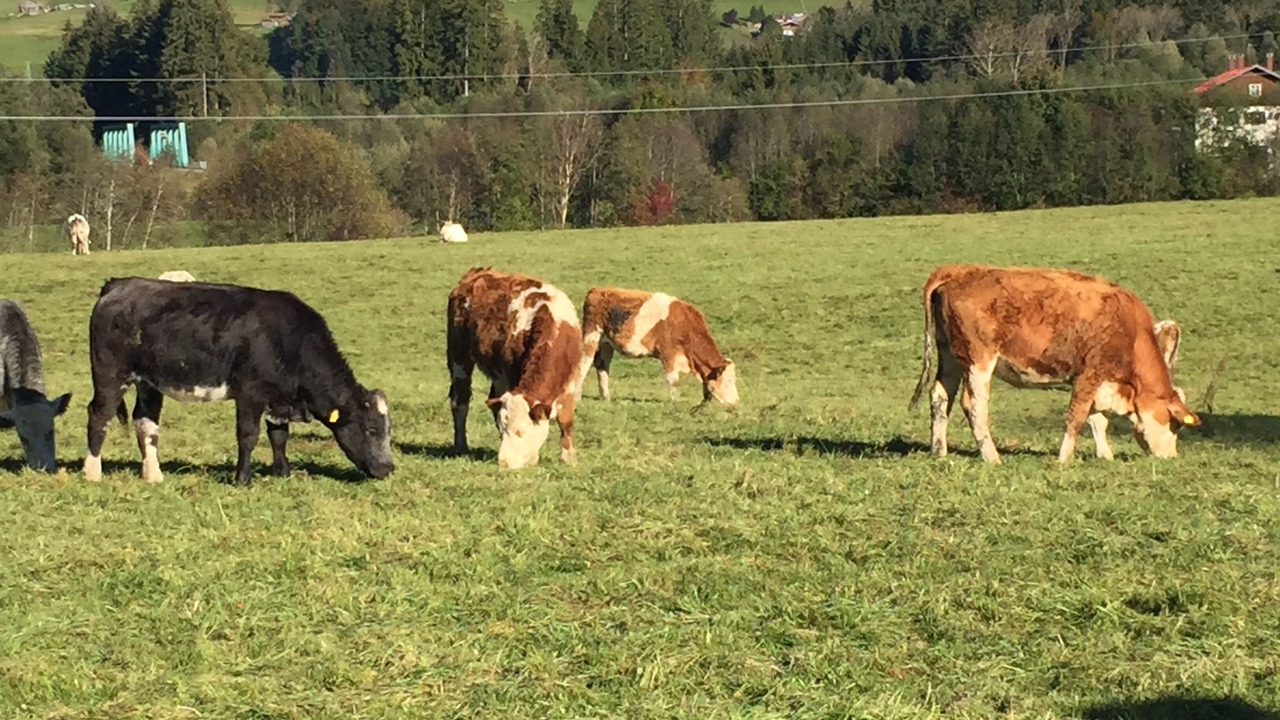 Photo of Outdoor in Verwaltungsgemeinschaft Hornergruppe