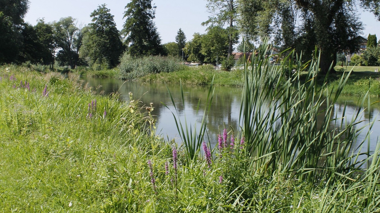 Photo of Outdoor in Bad Goegging