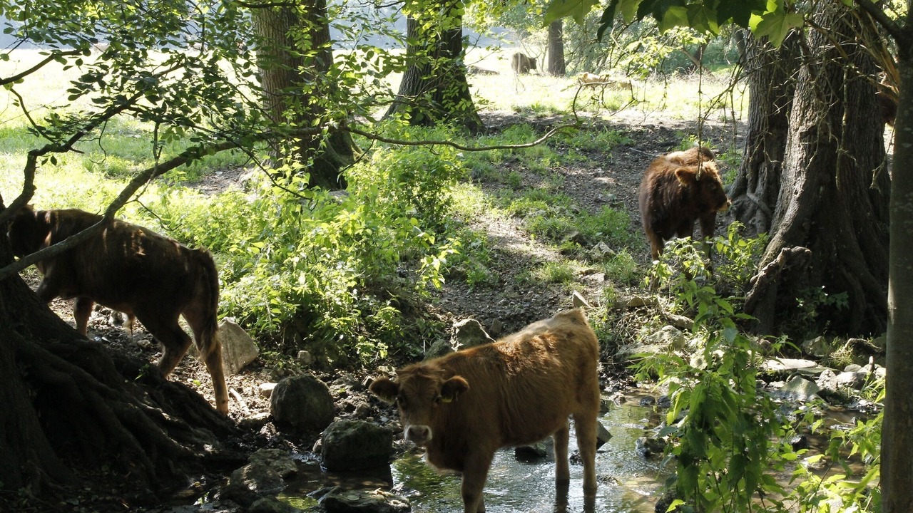 Photo of Outdoor in Bad Goegging