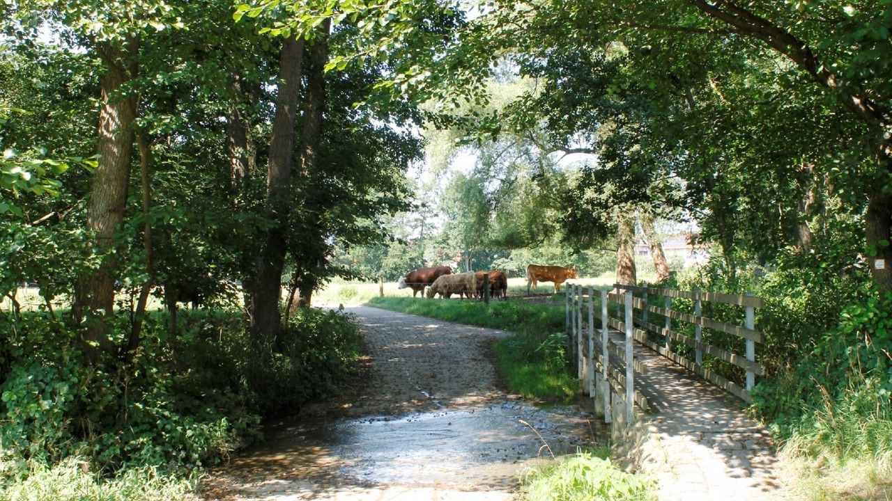 Photo of Outdoor in Bad Goegging